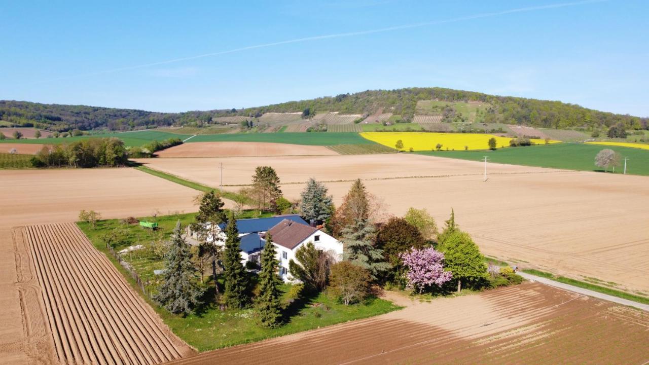 Ferienwohnungen Rosenhof Karlstadt Ngoại thất bức ảnh